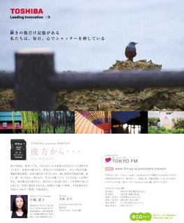 東芝様SDXCCAPA修正.jpg